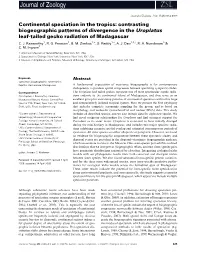 Continental Speciation in the Tropics: Contrasting Biogeographic Patterns of Divergence in the Uroplatus Leaf-Tailed Gecko Radiation of Madagascar C