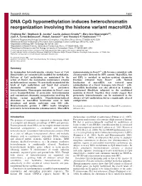 DNA Cpg Hypomethylation Induces Heterochromatin Reorganization Involving the Histone Variant Macroh2a