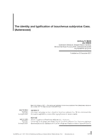 The Identity and Typification of Ixauchenus Sublyratus Cass