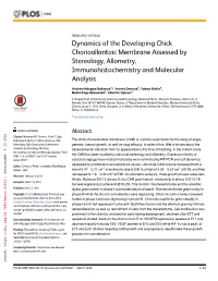 Dynamics of the Developing Chick Chorioallantoic Membrane