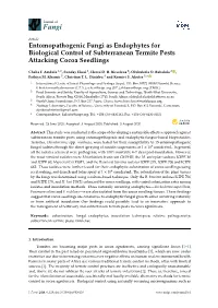 Entomopathogenic Fungi As Endophytes for Biological Control of Subterranean Termite Pests Attacking Cocoa Seedlings