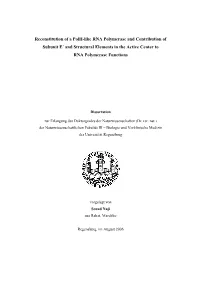 Reconstitution of a Polii-Like RNA Polymerase and Contribution of Subunit E’ and Structural Elements in the Active Center to RNA Polymerase Functions