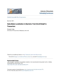 Subcellular Localization in Bacteria: from Envz/Ompr to Transertion