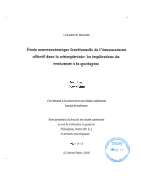 Étude Neuroanatomique Fonctionnelle De L'émoussement Affectif Dans La