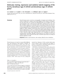 Molecular Cloning, Expression and Radiation Hybrid Mapping of the Bovine Deiodinase Type II (DIO2) and Deiodinase Type III (DIO3) Genes1