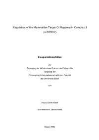 Regulation of the Mammalian Target of Rapamycin Complex 2 (Mtorc2)