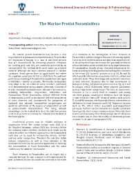 The Marine Protist Foraminifera