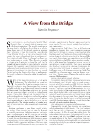 A View from the Bridge Natalie Paquette