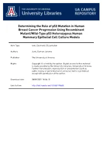 Determining the Role of P53 Mutation in Human Breast
