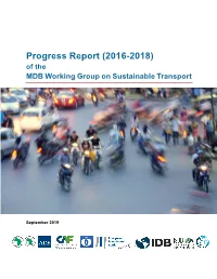 Progress Report (2016–2018) of the MDB Working Group On