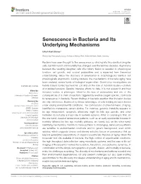 Senescence in Bacteria and Its Underlying Mechanisms