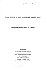 Control of Calcium Carbonate Precipitation in Anaerobic Reactors