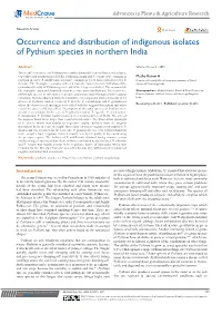 Occurrence and Distribution of Indigenous Isolates of Pythium Species in Northern India