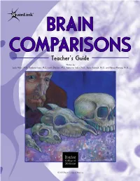 Brain Comparisons Teacher's Guide