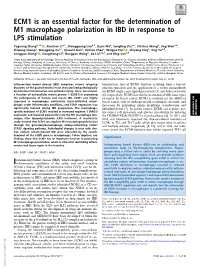 ECM1 Is an Essential Factor for the Determination of M1 Macrophage Polarization in IBD in Response to LPS Stimulation