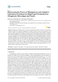 Harnessing the Power of Mutagenesis and Adaptive Laboratory Evolution for High Lipid Production by Oleaginous Microalgae and Yeasts