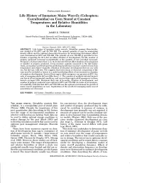 Life History of Immature Maize Weevils (Coleoptera: Curculionidae) on Corn Stored at Constant Temperatures and Relative Humiditi