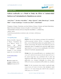 Galleria Mellonella As a Model to Study the Effect of Antimicrobial Surfaces on Contamination by Staphylococcus Aureus
