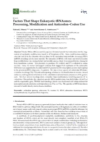 Processing, Modification and Anticodon–Codon