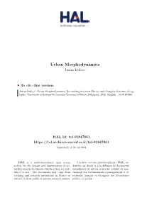 Urban Morphodynamics Justin Delloye