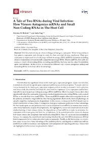 A Tale of Two Rnas During Viral Infection: How Viruses Antagonize Mrnas and Small Non-Coding Rnas in the Host Cell