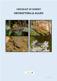 Checklist of Dorset Orthoptera and Allies