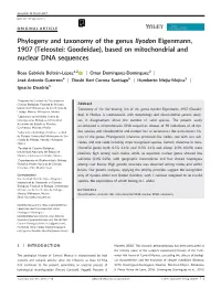 Phylogeny and Taxonomy of the Genus Ilyodon Eigenmann, 1907 (Teleostei: Goodeidae), Based on Mitochondrial and Nuclear DNA Sequences