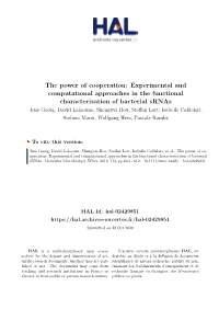 The Power of Cooperation: Experimental and Computational Approaches in the Functional Characterization of Bacterial Srnas