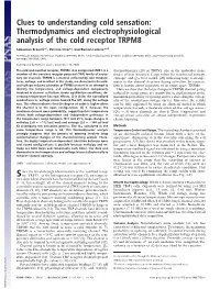 Thermodynamics and Electrophysiological Analysis of the Cold Receptor TRPM8