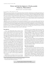 Flower and Fruit Development of Parkia Pendula (Fabaceae, Mimosoideae) Daniel Piechowski1,3 and Gerhard Gottsberger2
