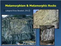 Metamorphic Rocks.Pdf