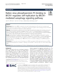 Rabies Virus Phosphoprotein P5 Binding to BECN1 Regulates Self