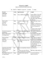 Recommended Non-Sidewalk Tree List DRAFT