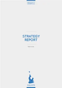 Strategy Report First Cycle