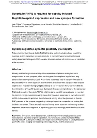 Syncrip/Hnrnpq Is Required for Activity-Induced Msp300/Nesprin-1