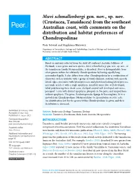 From the Southeast Australian Coast, with Comments on the Distribution and Habitat Preferences of Chondropodinae