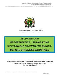 Stimulating Sustainable Growth for Bigger, Better, Stronger Industries