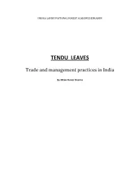 Tendu Leaves