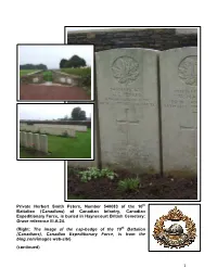 1 Private Herbert Smith Peters, Number 540083 Of