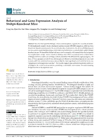 Behavioral and Gene Expression Analysis of Stxbp6-Knockout Mice