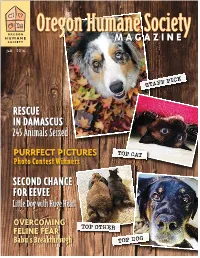 Rescue in Damascus Second Chance for Eevee