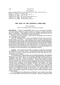 The Role of the External Sphincter
