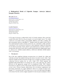 A Mathematical Model of Tripartite Synapse: Astrocyte Induced Synaptic Plasticity