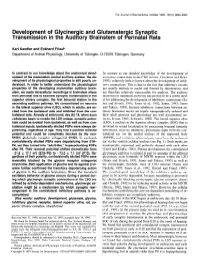 Development of Glycinergic and Glutamatergic Synaptic Transmission in the Auditory Brainstem of Perinatal Rats