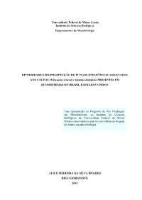 Tese Aliceferreiradasilva.Pdf
