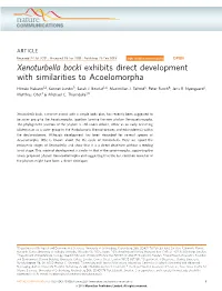 Xenoturbella Bocki Exhibits Direct Development with Similarities to Acoelomorpha