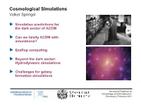 Cosmological Simulations Volker Springel