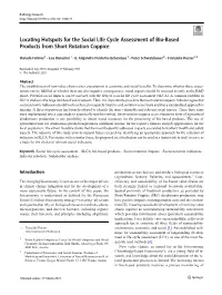 Locating Hotspots for the Social Life Cycle Assessment of Bio-Based Products from Short Rotation Coppice