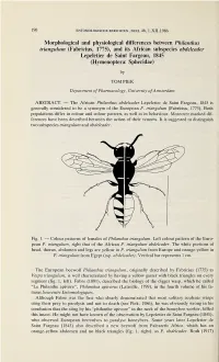 Morphological and Physiological Differences