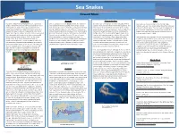 Sea Snakes You Can Easily Change the Color Theme of Your Poster by Going to the Presentation Poster